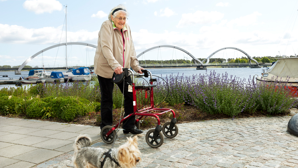 Äldre kvinna promenerar längst hamnen med sin rullator och hund. 