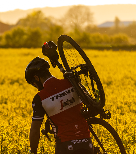 En cyklist bär sin cykel över ett vackert rapsfält